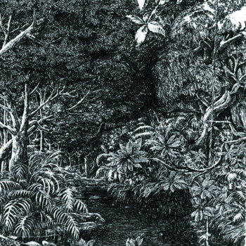 Rysunek zatytułowany „Riacho escuro” autorstwa Voz Khumallo, Oryginalna praca, Długopis żelowy