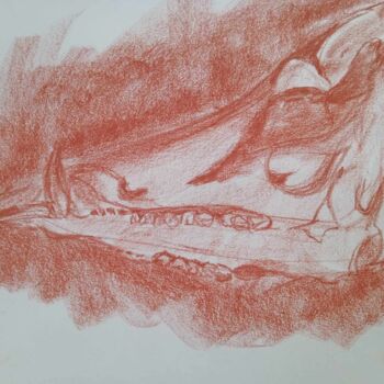 Dessin intitulée "Crâne" par Virginie Piatti, Œuvre d'art originale, Crayon
