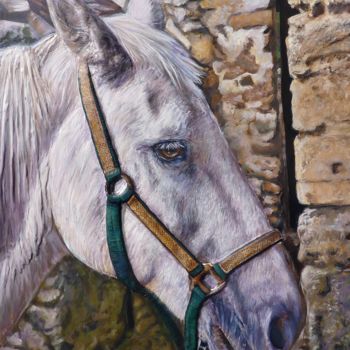 Peinture intitulée "portrait de cheval…" par V. Trabaud, Œuvre d'art originale, Acrylique