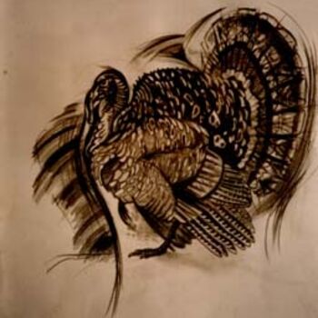 Dessin intitulée "The Turkey" par Vulpe Mircea, Œuvre d'art originale