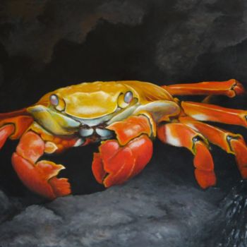 Painting titled "Grapsus grapsus" by Walfroy, Original Artwork, Oil