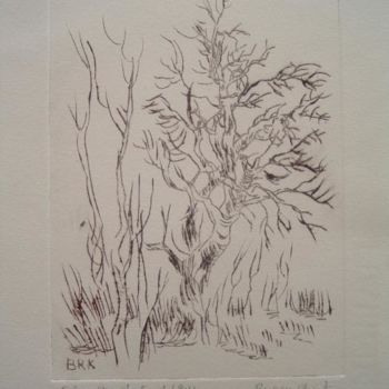 Prenten & gravures getiteld "arbre4.JPG" door Walibur55, Origineel Kunstwerk