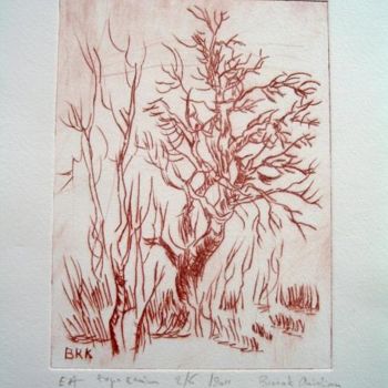 Printmaking titled "arbre5.JPG" by Walibur55, Original Artwork