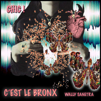 "chic c'est le bronx" başlıklı Dijital Sanat Wally Sanetra tarafından, Orijinal sanat, 2D Dijital Çalışma