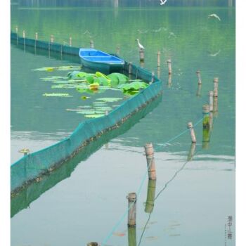 Photography titled "湖中小景" by Wang Da Bao, Original Artwork