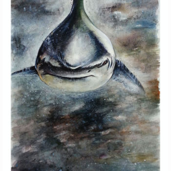 Peinture intitulée "shark-1.jpg" par Robert Décurey, Œuvre d'art originale, Aquarelle