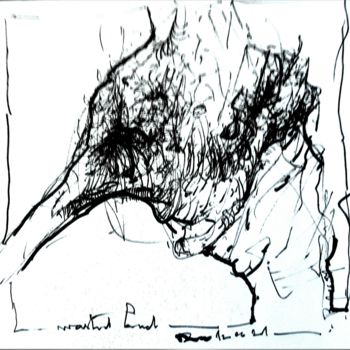 Drawing titled "wasted land" by Stephan Rodriguez Warnemünde, Original Artwork, Ink