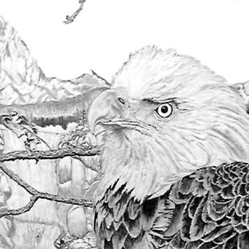 Dessin intitulée "eagle portrait" par Rick Fuller, Œuvre d'art originale, Autre