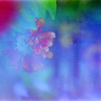 Digital Arts titled "POISONED CANDIES -0…" by Weedsxyz, Original Artwork, Analog photography