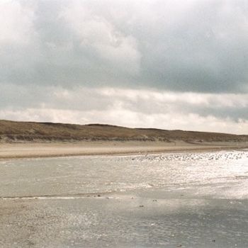 Dutch Sealandscape