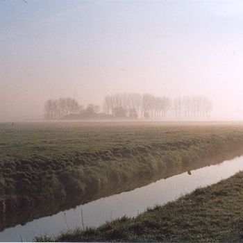 Foggy Dutch Landscape