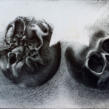 Malerei mit dem Titel "Zwei Totenköpfe" von Werner Schaile, Original-Kunstwerk, Tinte