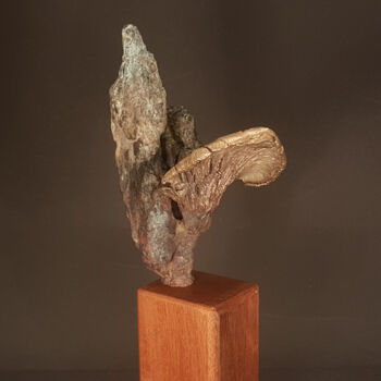 Sculpture titled "Clinging to the Rock" by Wichert Van Engelen / Frozensteel.Nl, Original Artwork, Bronze