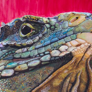 Pittura intitolato "Iguana I" da Wilfredo Rolando Shimura Sakazaki, Opera d'arte originale, Acquarello