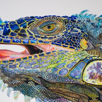 Painting titled "Iguana III" by Wilfredo Rolando Shimura Sakazaki, Original Artwork, Watercolor