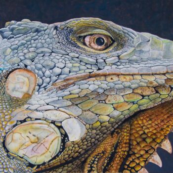 Pintura titulada "Iguana IV" por Wilfredo Rolando Shimura Sakazaki, Obra de arte original, Acuarela