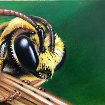 Painting titled "Baby bee" by Willy Porée, Original Artwork, Acrylic Mounted on Cardboard