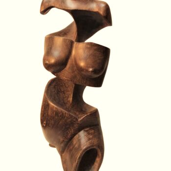 Rzeźba zatytułowany „Torso nr 4” autorstwa Wim Van Mossevelde, Oryginalna praca, Drewno