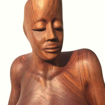 雕塑 标题为“Abstract girl” 由Wim Van Mossevelde, 原创艺术品, 木