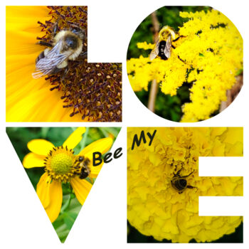 Photography titled "Bee My Love" by Winnie Chrzanowski, Original Artwork, Digital Photography