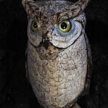 Sculpture intitulée "wizzard owl" par Jim Calder, Œuvre d'art originale, Bois