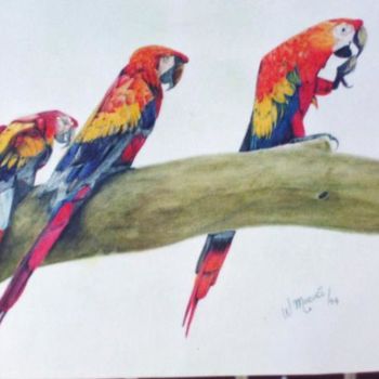 Schilderij getiteld "Tres guacamayas" door William Maruri Londoño, Origineel Kunstwerk