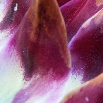 Photographie intitulée "Pétales violets ten…" par Wolf Thiele, Œuvre d'art originale, Photographie numérique