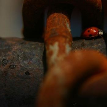 Fotografia intitolato "Rusted Pipe and a L…" da Chase Shelby, Opera d'arte originale