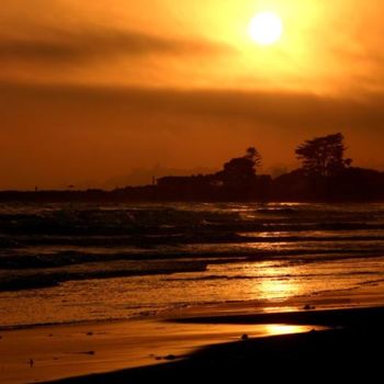 摄影 标题为“Beach Sunset” 由Chase Shelby, 原创艺术品