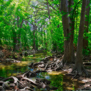 Photographie intitulée "Cibolo Creek TX" par Patrick O'Brien, Œuvre d'art originale, Photographie numérique