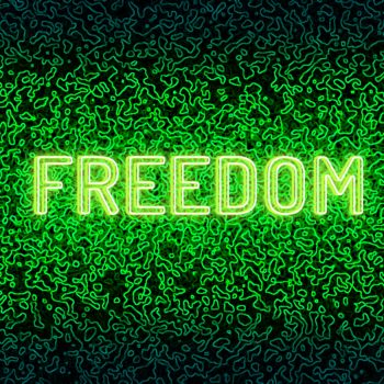 제목이 "Freedom"인 디지털 아트 Hila로, 원작, 2D 디지털 작업