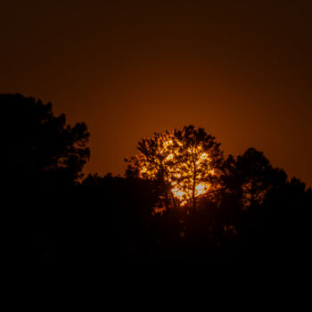 Fotografie getiteld "sunset with trees i…" door Xan Gasalla González-Redondo, Origineel Kunstwerk, Niet gemanipuleerde fotog…