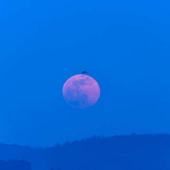 Photography titled "pink moon" by Xan Gasalla González-Redondo, Original Artwork, Digital Photography