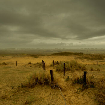 Photographie intitulée "Lande bretonne" par Xavier Cauchy, Œuvre d'art originale, Photographie numérique