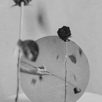 Photography titled "Wounded Rose #3" by Xidong Luo, Original Artwork, Digital Photography