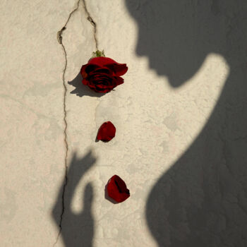 Fotografia intitulada "A Rose Through The…" por Xidong Luo, Obras de arte originais, Fotografia digital