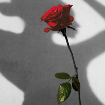 Photographie intitulée "Love Your Shadow" par Xidong Luo, Œuvre d'art originale, Photographie numérique