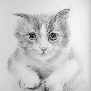 Dessin intitulée "Petit chat" par Wei Mazzolini, Œuvre d'art originale, Autre