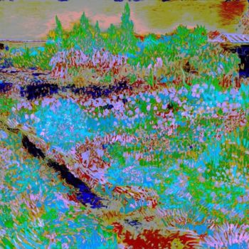 제목이 "Vincent_van_Gogh_-_…"인 디지털 아트 Mark Pettinelli로, 원작, 디지털 페인팅