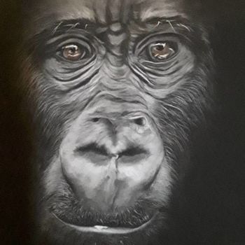 Malarstwo zatytułowany „Le Gorille” autorstwa Xuan Mai Ly, Oryginalna praca, Pastel Zamontowany na Inny sztywny panel