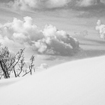 Фотография под названием "Dunes with trees" - Mossart, Подлинное произведение искусства, Цифровая фотография