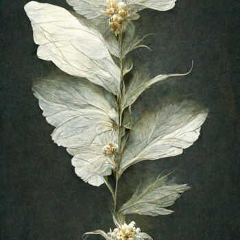 Arts numériques intitulée "Herbarium" par Mossart, Œuvre d'art originale, Travail numérique 2D