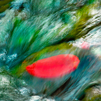 Photographie intitulée "Rouge suspendu" par Yabé, Œuvre d'art originale, Photographie numérique