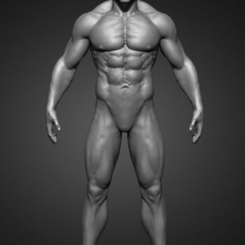 Digital Arts titled "Realistic male anat…" by Yacine Brinis, Original Artwork, 3D Modeling