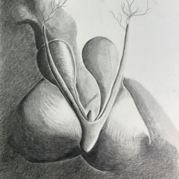 Drawing titled "Cliteros VI" by Yaël Moon, Original Artwork, Pencil