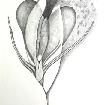 Drawing titled "Cliteros VII" by Yaël Moon, Original Artwork, Pencil