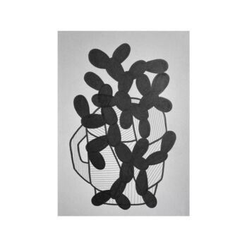 Desenho intitulada "« Succulents Cactus…" por Yahia Ouled Moussa, Obras de arte originais, Tinta