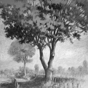 Drawing titled "Au bord du chemin." by Yan Vita, Original Artwork, Pencil