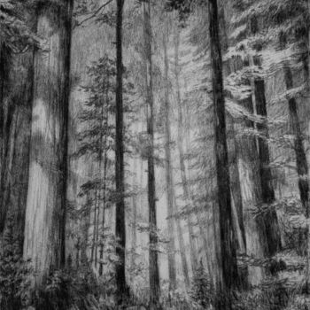 Zeichnungen mit dem Titel "Fantasy forest" von Yan Vita, Original-Kunstwerk, Graphit