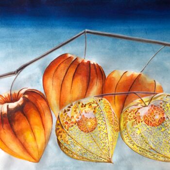 Malerei mit dem Titel "Physalis on a branch" von Yana Yushkova, Original-Kunstwerk, Aquarell